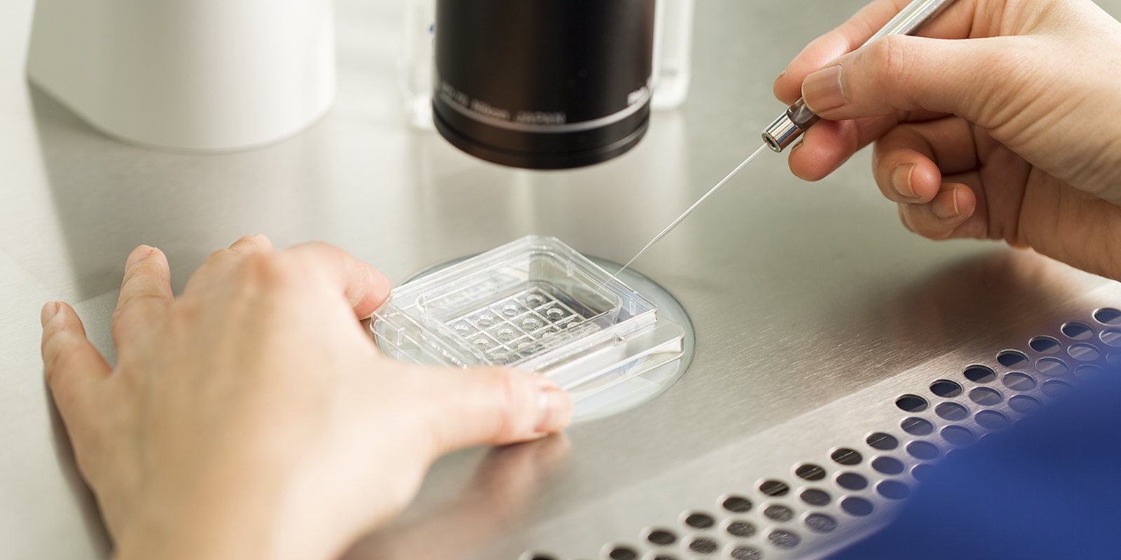 How To Prepare Dishes For Optimal Osmolality During Embryo Culture How To Prepare Dishes For Optimal Osmolality During Embryo Culture